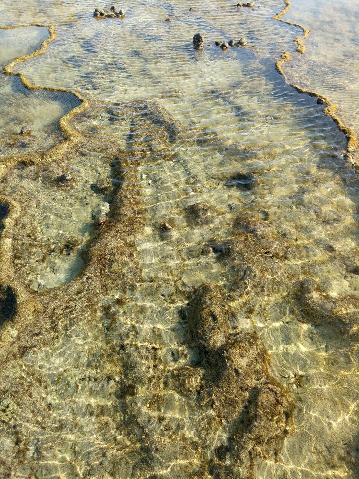 Rich from the ocean