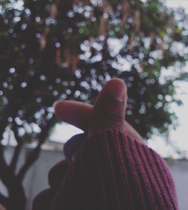 nature life 