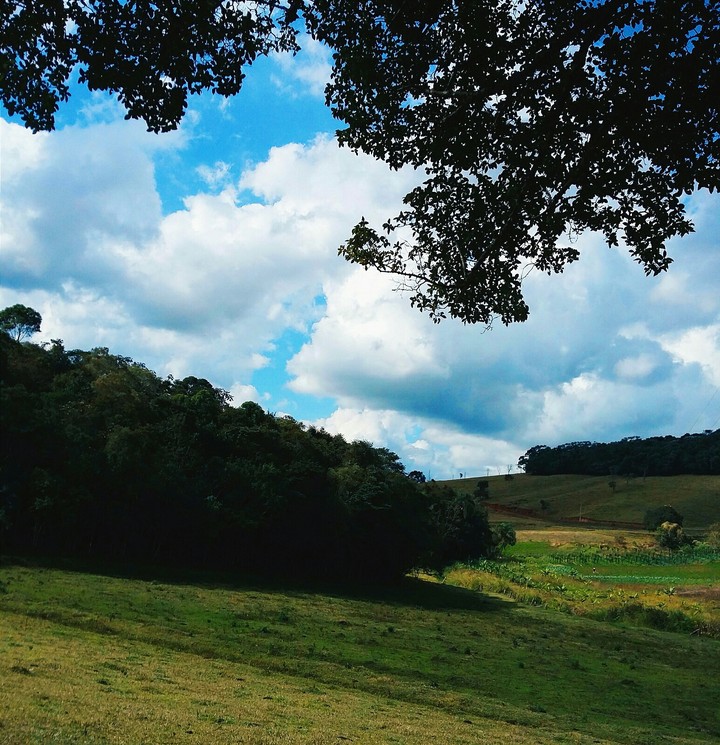 Nature Feeling