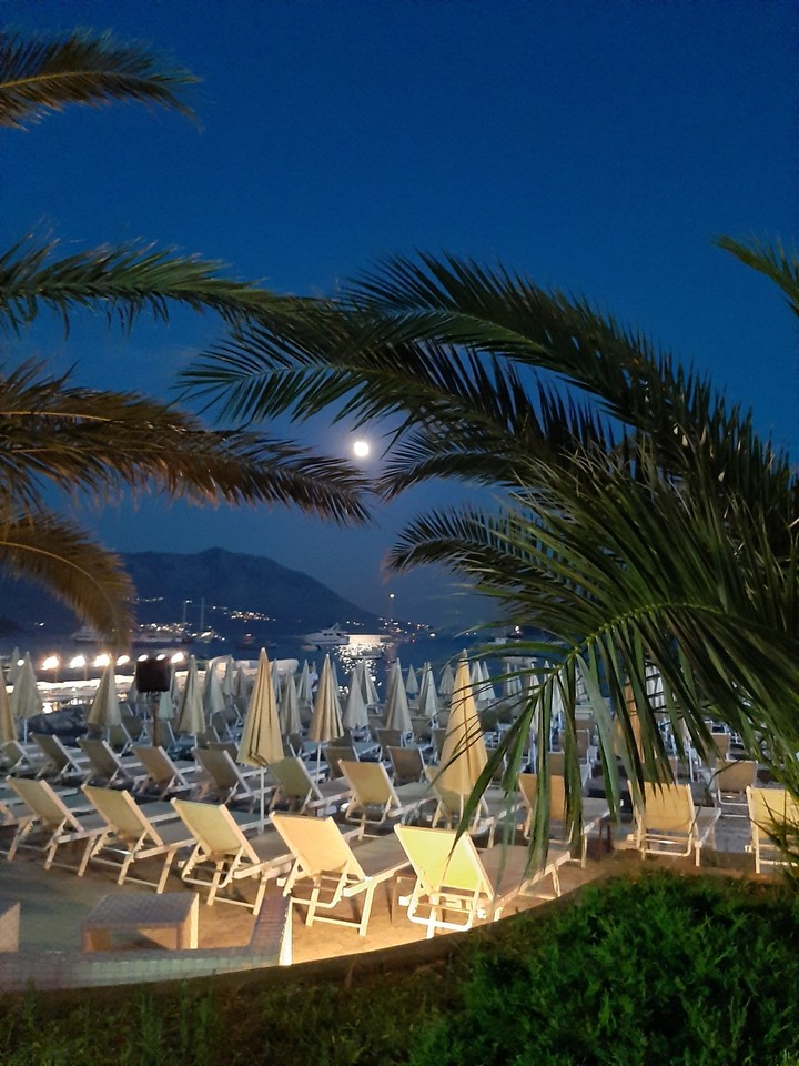 Moon through the palm trees