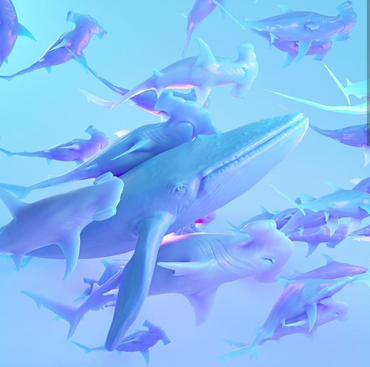 Whales