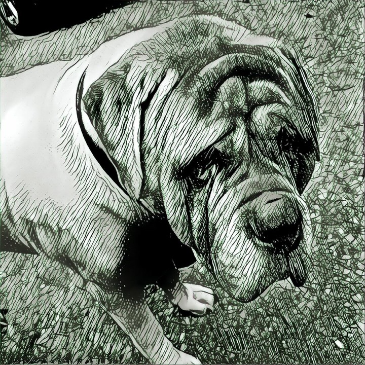 Fenway line drawing