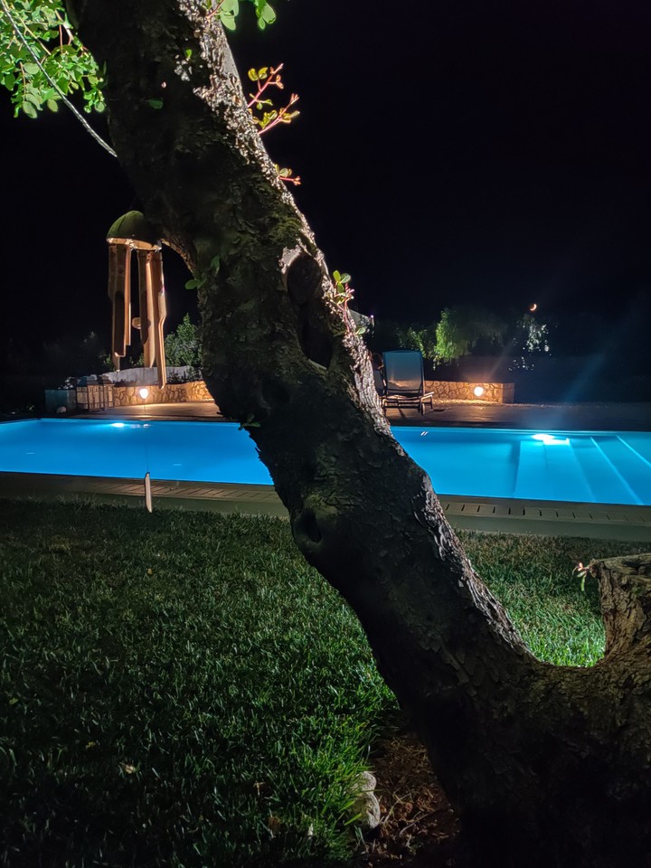 nightpool