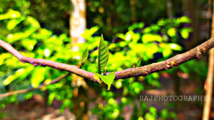Mobile click