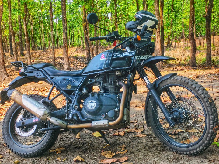 Intø the wild with the beast ..!!