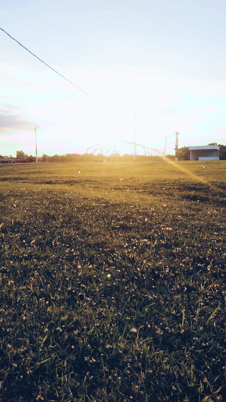 Bugs