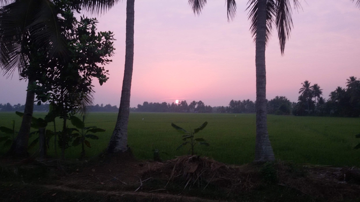 sunset