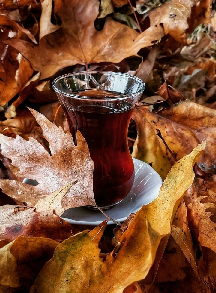 çay