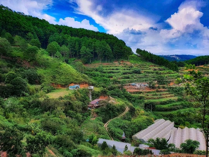 My hometown is Vietnam