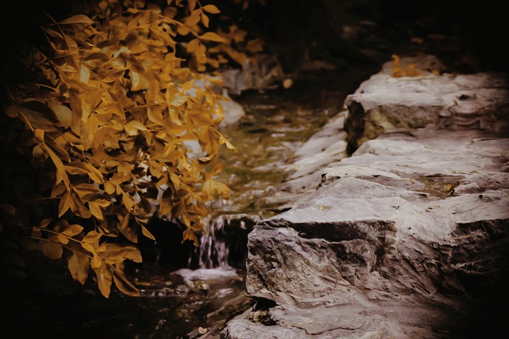 autumn