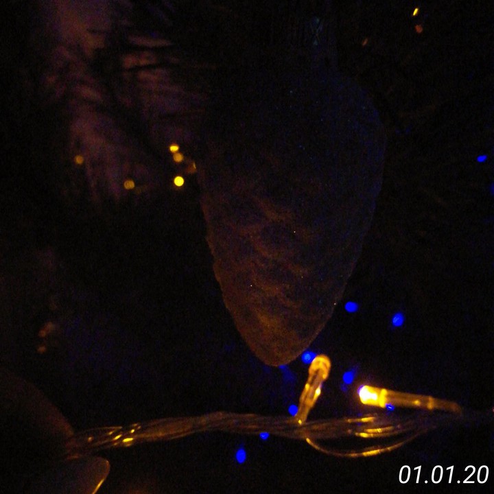 Christmas toy