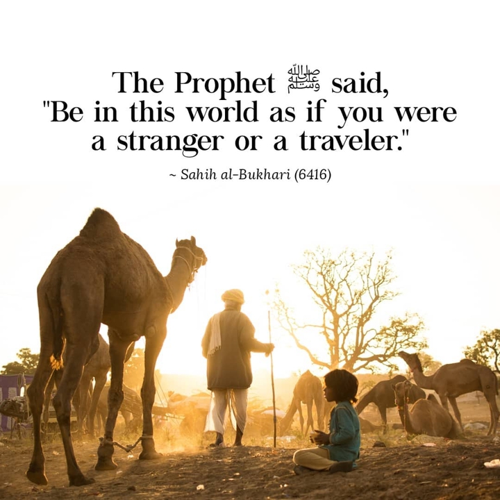 the prophet Muhammad