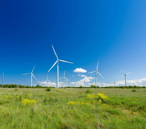 renewable energy