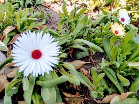 Flowers are always fun ❤️
