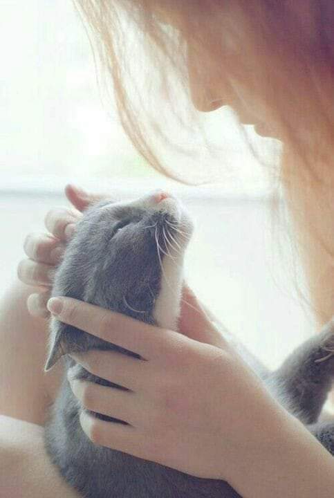 assim