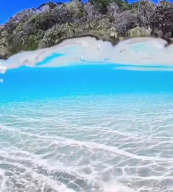 sea