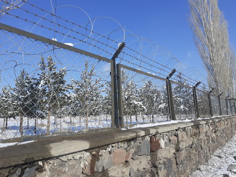 Winter' s Garden