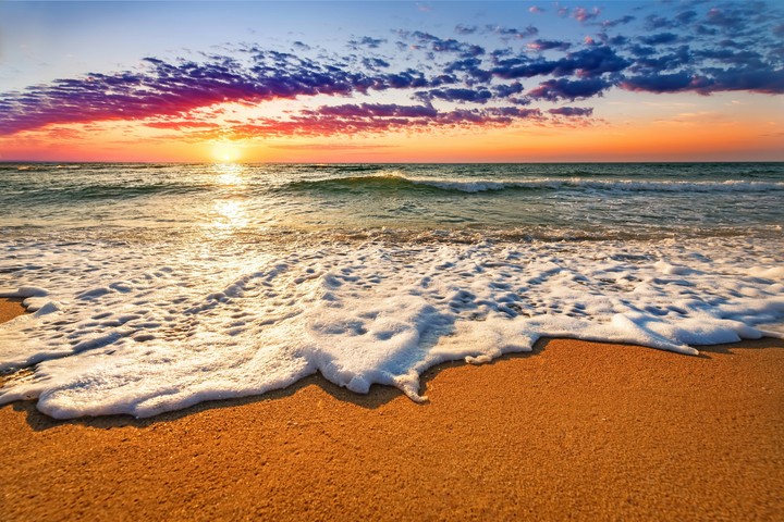 Sea To Love