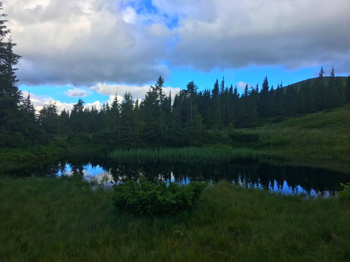 lake in forest