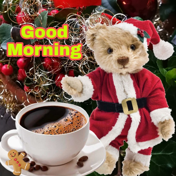 goodmorning my Friend