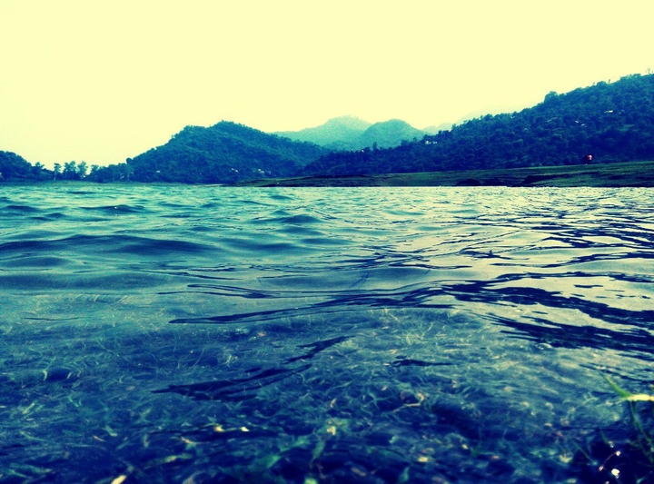 freshness
