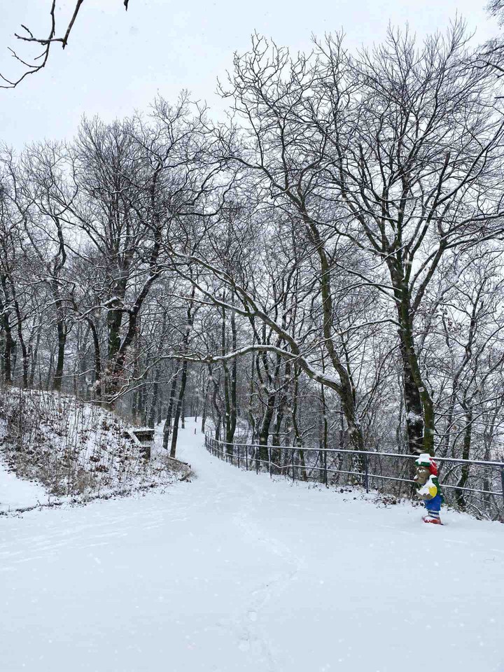 winter