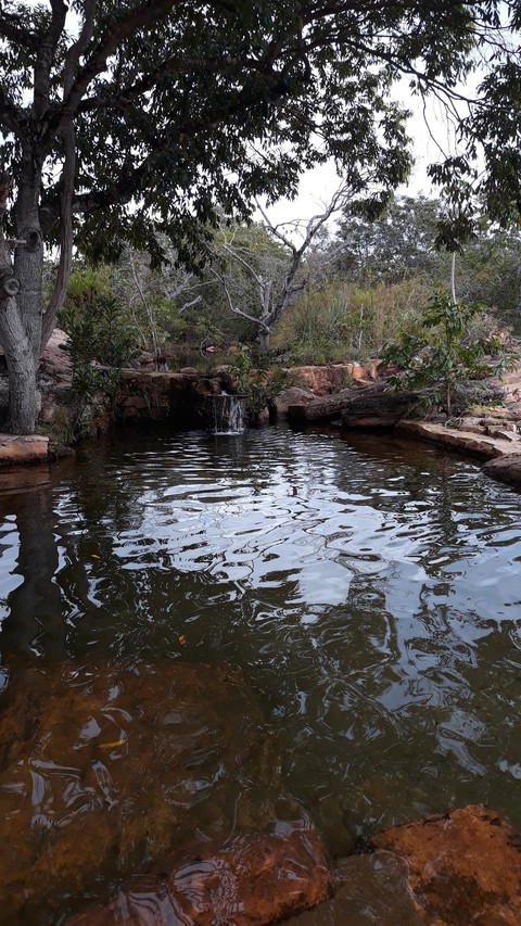 Piscina natural