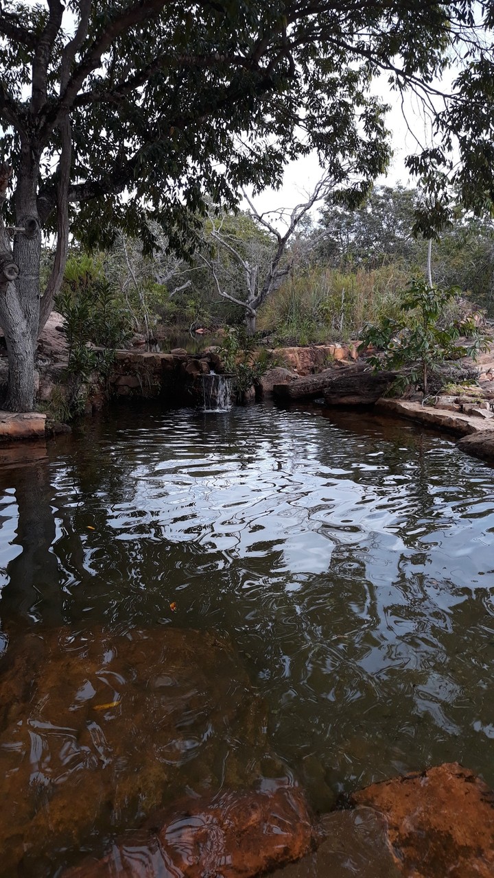 Piscina natural