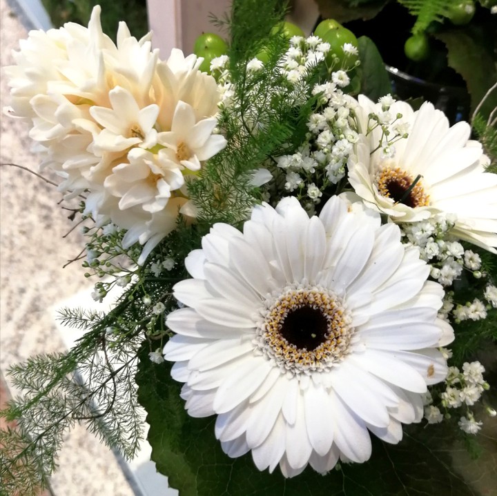 flowers