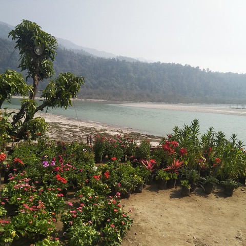 rishikesh