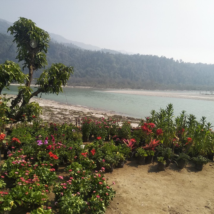 rishikesh