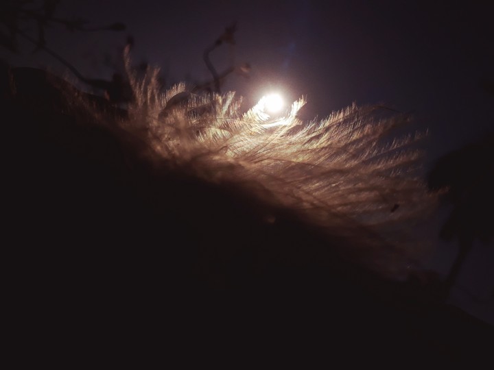 ain light