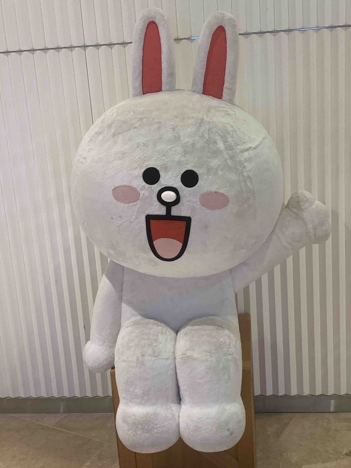 라인 코니