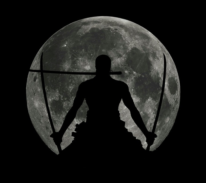 Ninja Moon
