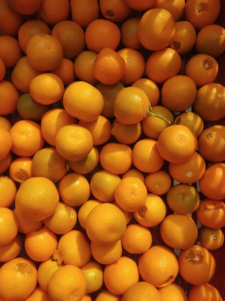 Fresh lemon