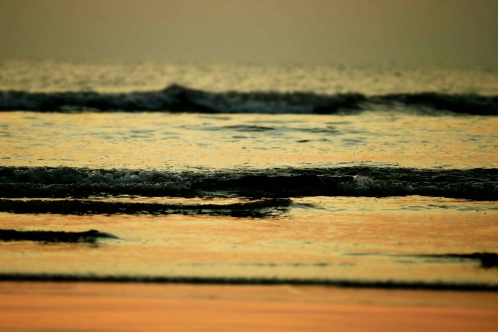 shore