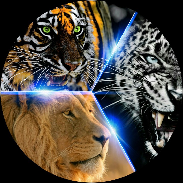 the animal