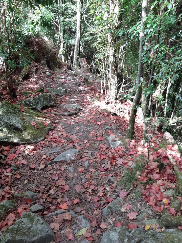 natural red path