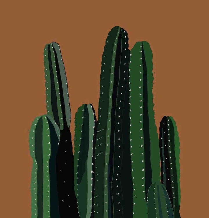 ⠀