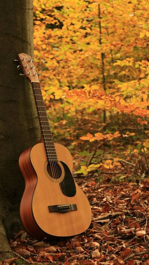 musique