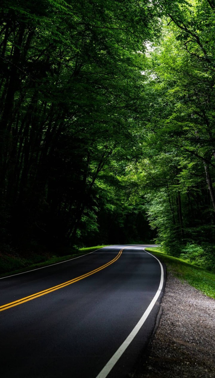 roads