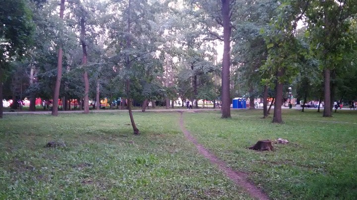 park