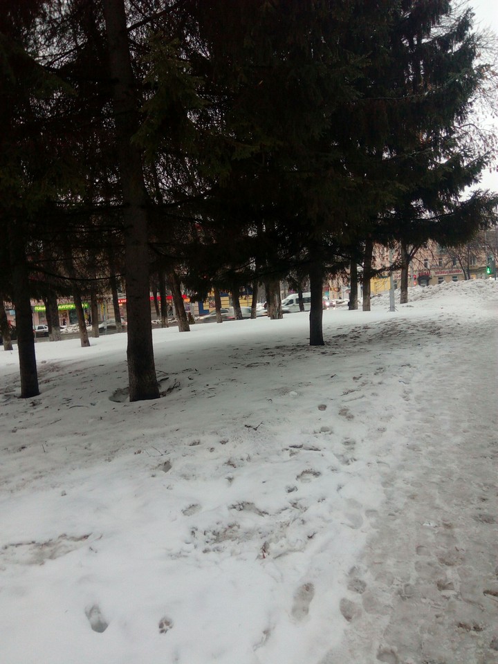 снег.