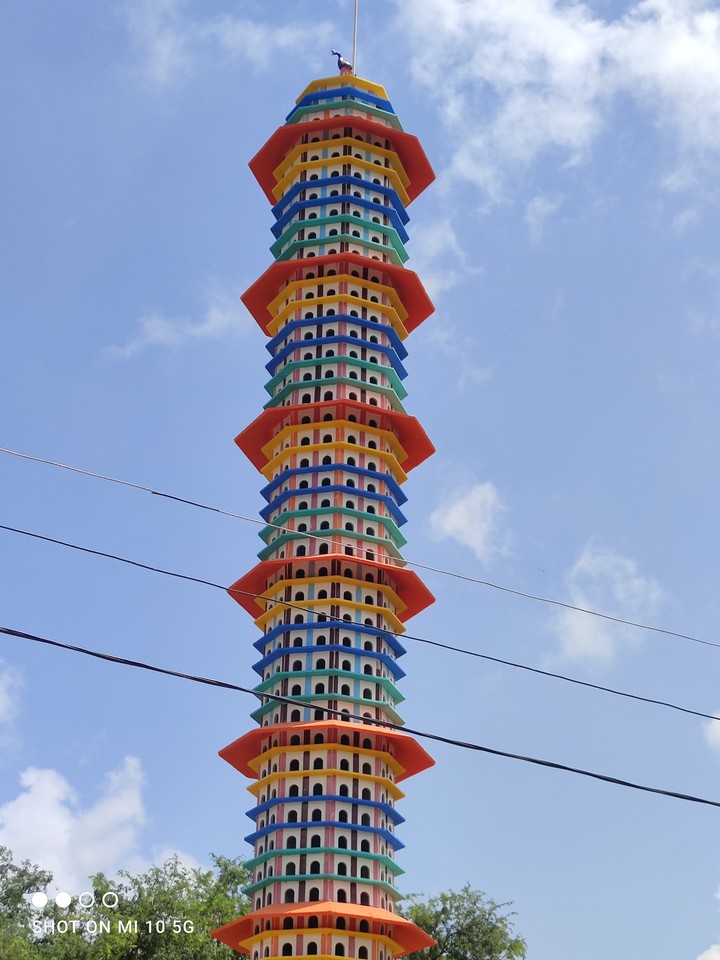 birds house rajsthan