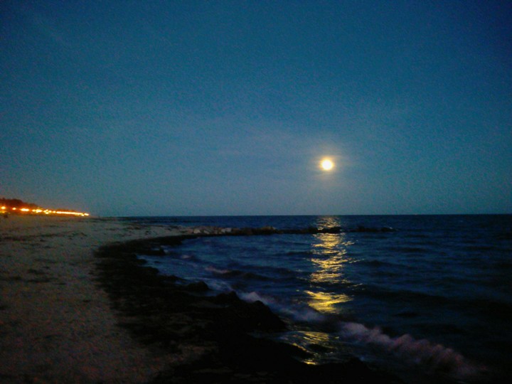 Moonlight on the baltic