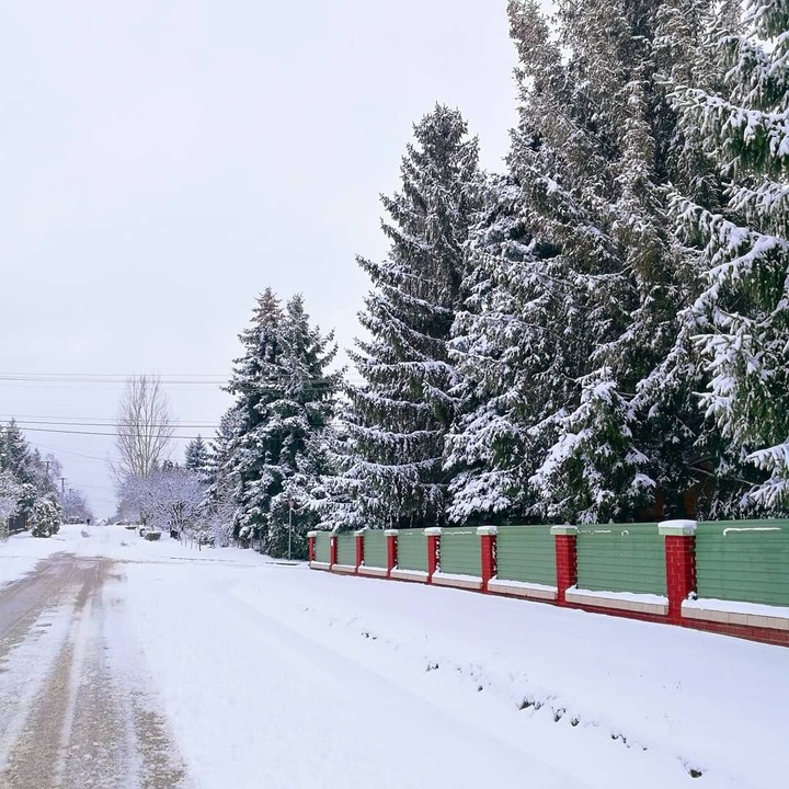 winter