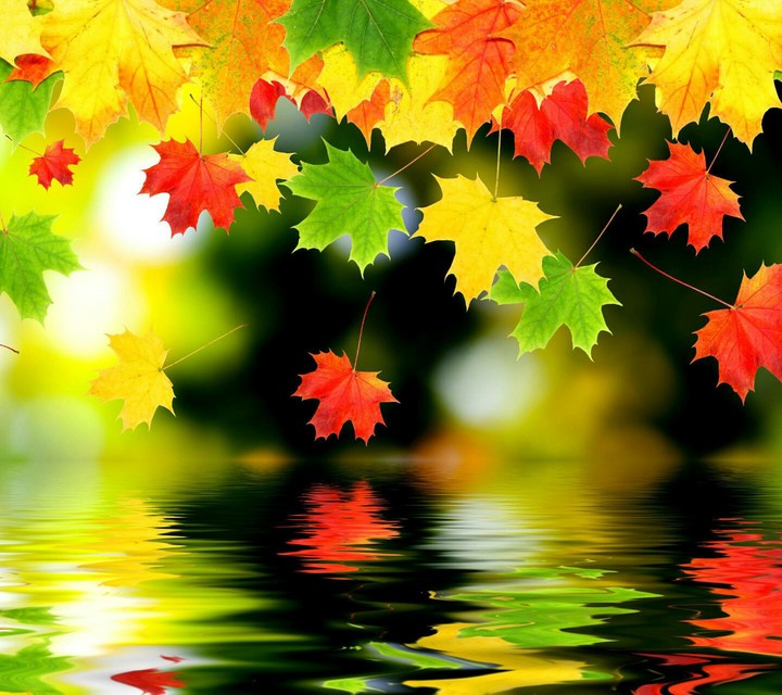 colourful image