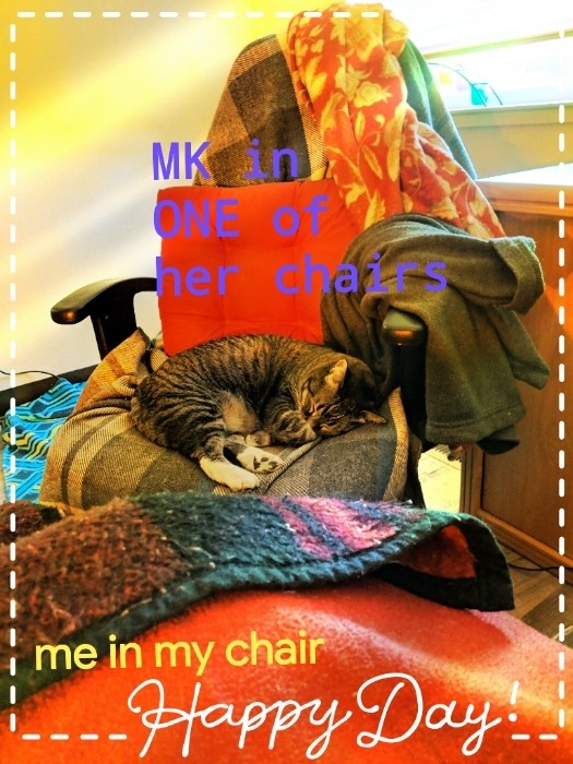 Mistress of the House