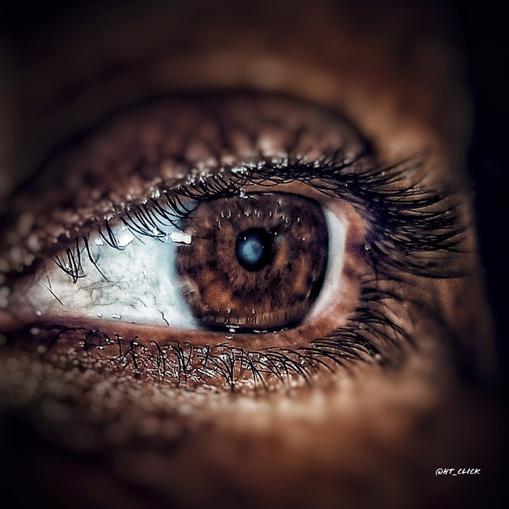 Eyes