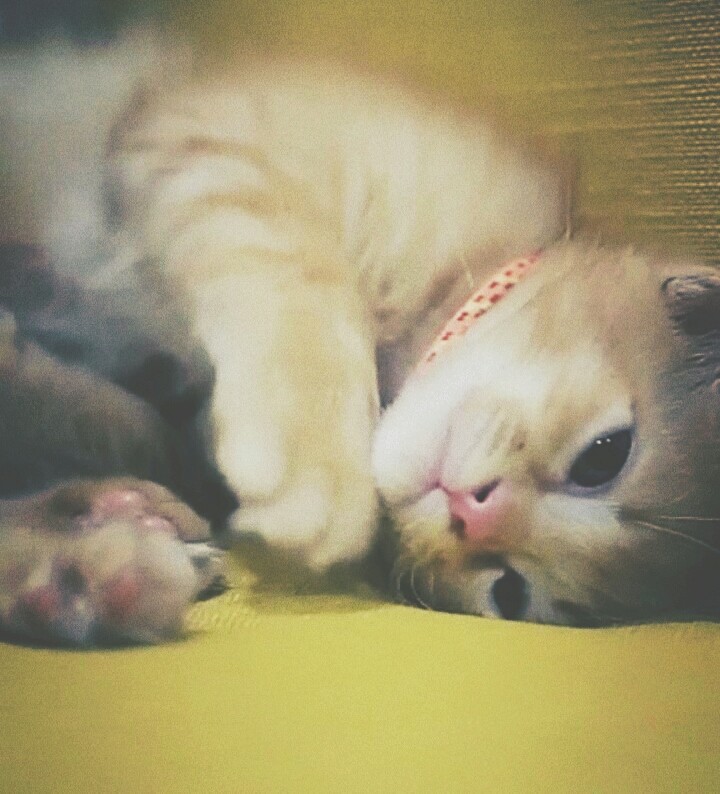So cute!♡